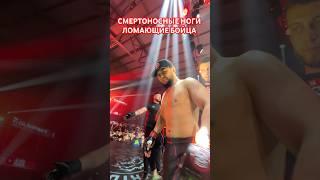Горилла СМЕРТОНОСНЫЕ НОГИЛОМАЮЩИЕ бойцы #mma #muradaov #мма #кунфу #ufc #файтинг #бои #бокс #бой