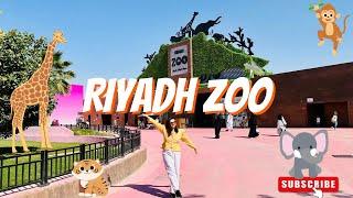 Riyadh Zoo | Largest Zoo in Saudi Arabia | Blue-eyed White Tiger SPOTTED