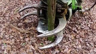 Excavator with tree shear. Removing unwanted trees