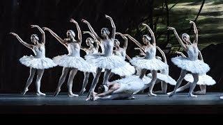 Darcey Bussell the challenges of dancing as a Swan (The Royal Ballet)