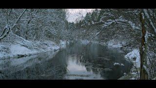 Съемка ДИКИХ животных, ночь в зимнем ЛЕСУ. Часть 1.