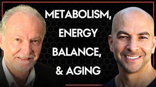 324‒Metabolism, energy balance, and aging: the impact of diet, calorie restriction & macronutrients