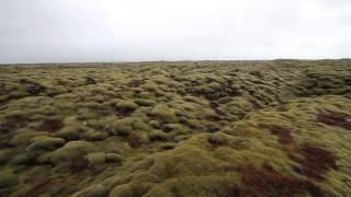 Moss Covered Lava Field in South Iceland (HD)