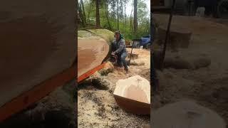 121cc Stihl Ms880 Chainsaw Cutting a Massive Beech Trunk - 64" GB Bar