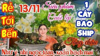 13/11️0377912913xa mai chơi Tết giá siêu rẻ,như ý,nhị Ngọc toàn