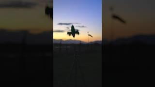 0-250mph in 6 Seconds