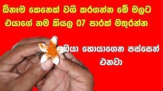 Sinhala Washi gurukam | Gurukam mantra | Girl actraction tips | Sinhala Gurukam