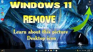 How to remove Learn more about this picture icon in Windows 11