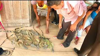 Eating Iguana with the Indigenous Mayangna | Nicaraguas Northern Autonomous Region