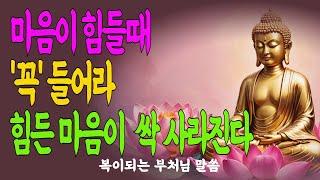 비 오는 날, 문득 외로워진 당신께#부처님말씀 #마음비우기 #비오는날 #자비의말씀 #고요한하루#부처님말씀 #마음공부