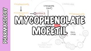 Mycophenolic Acid - Mycophenolate (organ transplant and DMARD) - mechanism of action, side effects