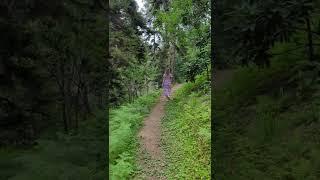 Girl Walking On The Path 4K UHD 60 fps