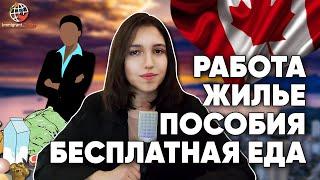 Бесплатная помощь для новых иммигрантов в Канаде