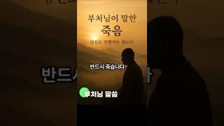 부처님이 말한 ‘죽음’…당신도 언젠가는 죽는다 #부처님말씀 #마음의등불 #인생지혜 #불교이야기 #힐링 #명언