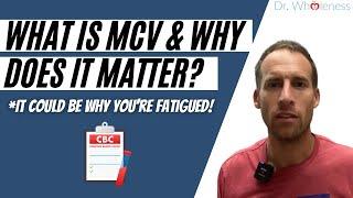 Are big red blood cells causing fatigue? What is your MCV?