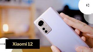 Xiaomi 12 - flagship compact pentru 2022 (review în limba română)