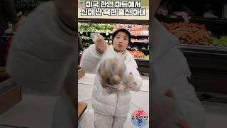 미국 한인 마트에서 신이 난 북한 출신 아내 #shorts #미국 #한인마트 #한식