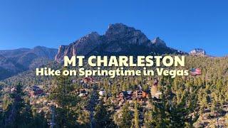 Mt Charleston Las Vegas| Getaway with Pam