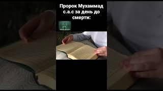 Пророк Мухаммад с.а.с за день до смерти сказал:#ислам #коран #islam #quran #пророк #мухаммад