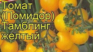 Томат обыкновенный Тамблинг желтый. Краткий обзор, описание характеристик, где купить семена