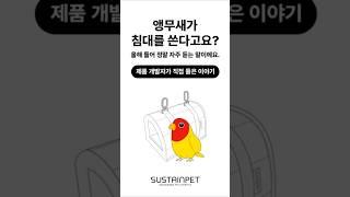 앵무새가 침대를 쓴다고요️ 앵집사가 행복이와 산책 & 어디를 다녀도 정말 많이 받는 질문입니다. (C) 2025 SUSTAINPET Co. All Rights Reserved.