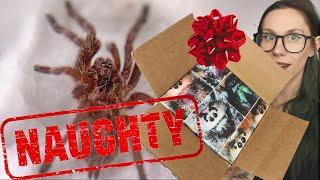 NAUGHTY or NICE?.. Let's find out!! TARANTULA UNBOXING