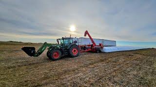 Picking up the lentils!