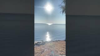 Київське море/Sea Kyiv ️ #music #shorts #live