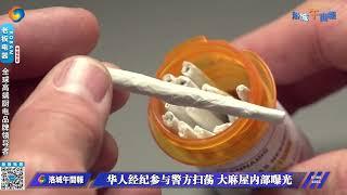 华人经纪参与警方扫荡 大麻屋内部曝光 记者直击 0708