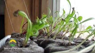 Time Lapse Compilation