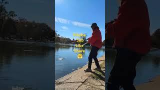 #pondfishing #music #lyrics #countrymusic #song #countryfolk @SandyToesAustralia @MBPFishing