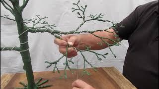 Bonsai 101 | Wiring secondary branches