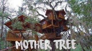 Tree House Tour - Tiny House Living on Suwannee River (61)