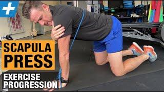 Scapula Press Exercise Progression for Serratus Anterior and Winging | Tim Keeley | Physio REHAB