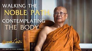 Walking the Noble Path, Contemplating the Body | Friday Dhamma | 31 Jan 2025