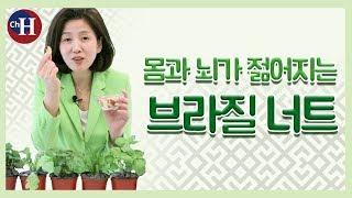 외모는 물론 뇌 까지 젊어지는 브라질 너트 효능!!