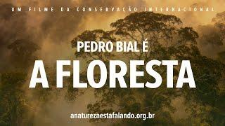 A Natureza esta Falando | Pedro Bial é A Floresta