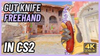 CS2 Gut Knife Freehand | CS2 Knife In-Game Showcase [4K]