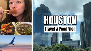 ️ Houston, TX Travel & Food Vlog ! Texas Family Vacation & Restaurant Guide | Lam's Cam Vlog 07