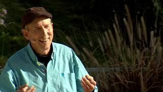The transformative power of climbing trees | David Anderson | TEDxBoise