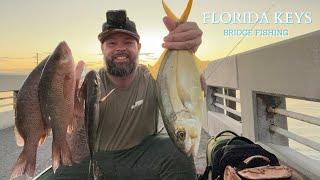 FL KEYS FISHING multiple BRIDGES. HOW TO easily CATCH mangrove SNAPPERS.