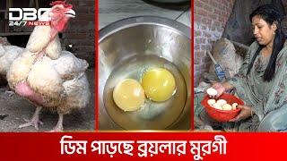 একটি ডিমে একাধিক কুসুম | DBC News Special