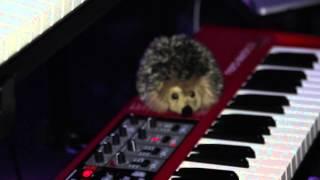 Isamu McGregor with Colbie Caillat on nord