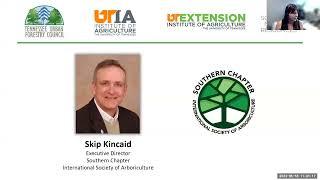 When (And How) To Hire An Arborist