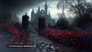 Dark Academia Castle Ambiance Romantic Classical Melodies & Gothic Mystery