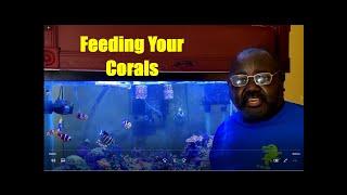 Daily(Sorta) Reefing Tips - #3 Feeding Your Corals