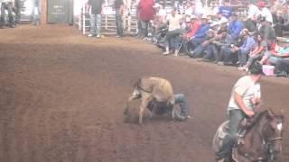 2012 Duvall's Steer Wrestling Jackpot-Battle Royal