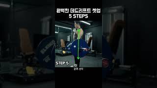 가장 쉬운 1분 데드리프트 (5단계)