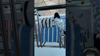만약.. 여행을 간다면 어디로? 5박 6일 메이크업 파우치 싸기#whatsinmybag #packwithme #asmr