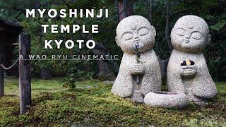 3 min Relaxing walk thru Japanese temples: The Temple Of The Enlightened Mind |Myoshinji Kyoto |